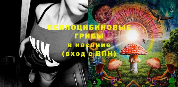 шишки Заволжск