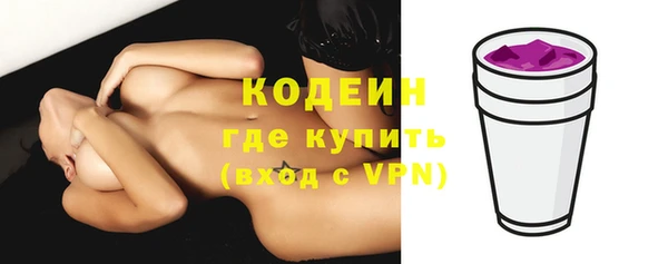 шишки Заволжск