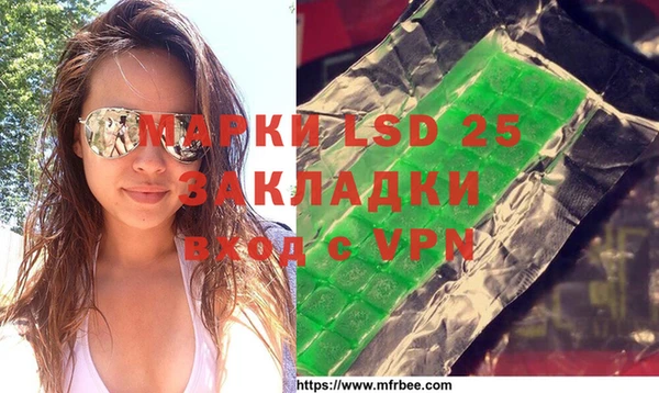 шишки Заволжск