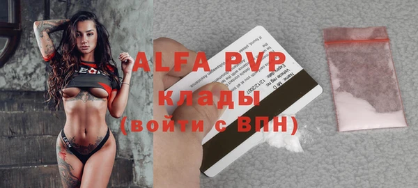 шишки Заволжск