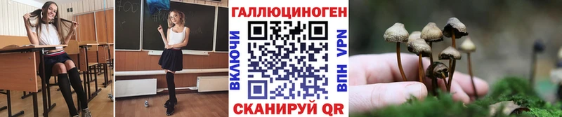 Галлюциногенные грибы Psilocybe  Купить  Нытва 